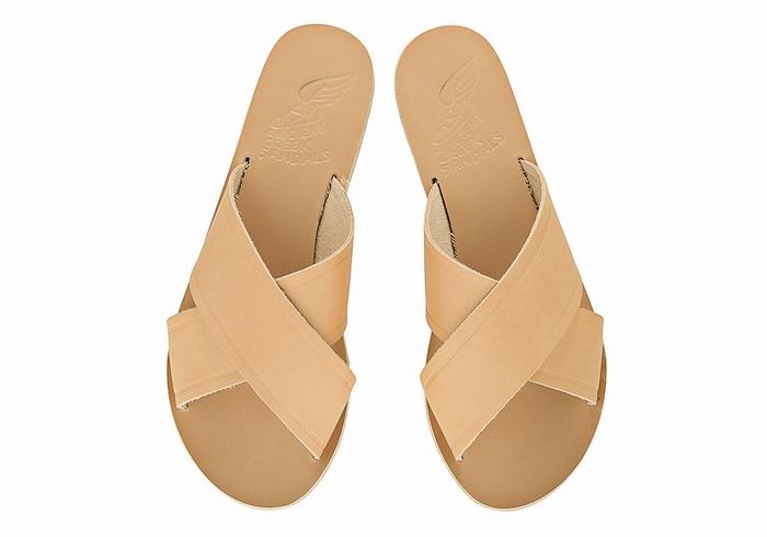 Sandales à Glissière Ancient Greek Sandals Thais   | FZT-3295514